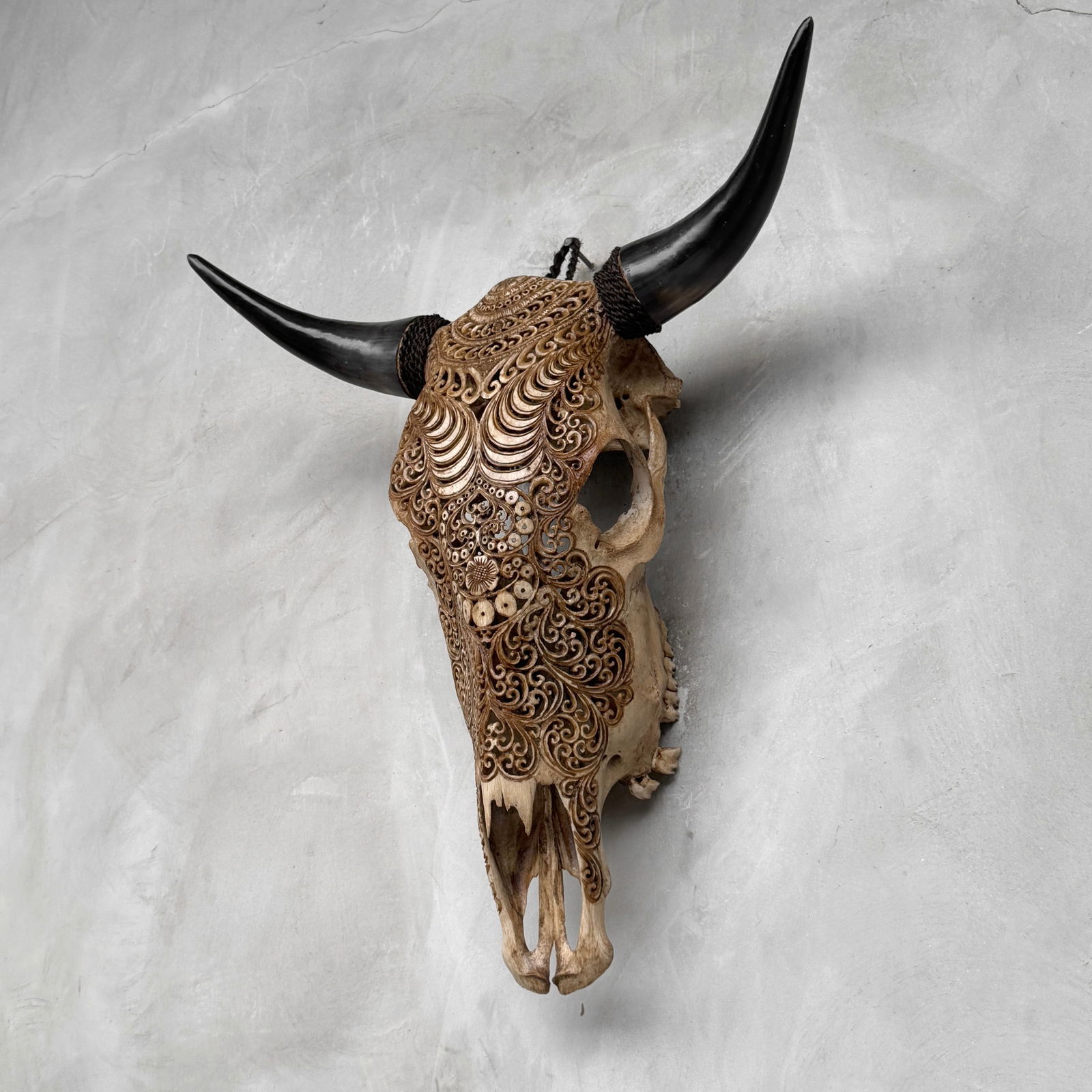 Stunning carved brown bull's skull - Badong motif - 7