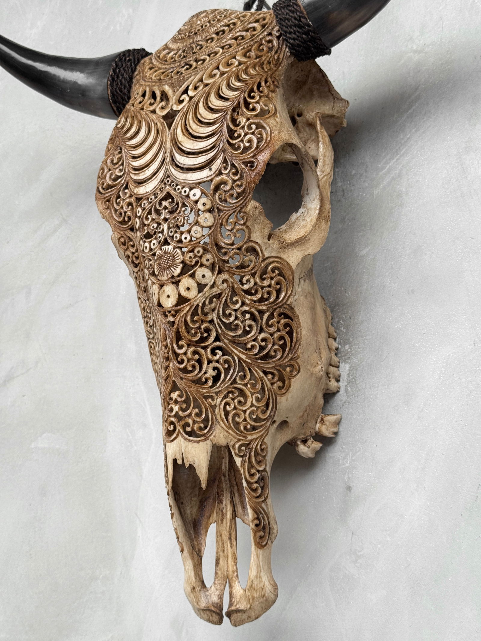 Stunning carved brown bull's skull - Badong motif - 8