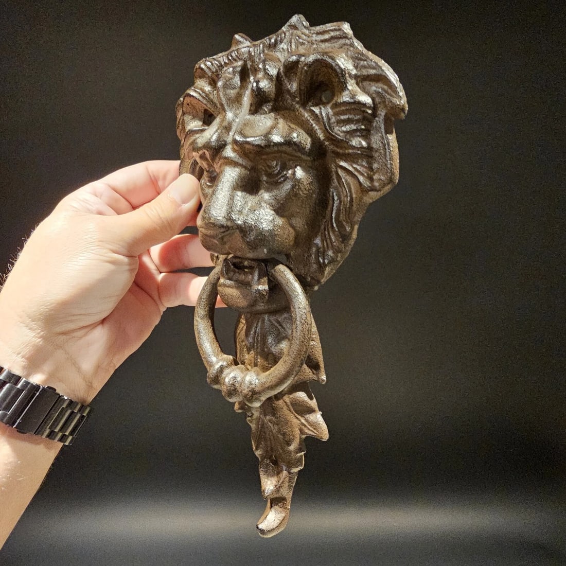 Cast Iron Lion Door Knocker w Hook - 9