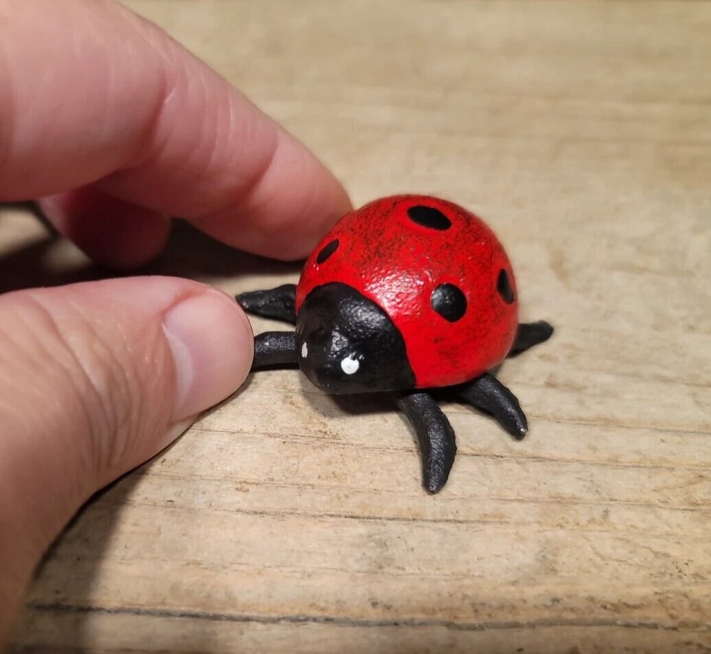 Cast Iron Lady Bug Good Luck: 1 1/2" Wide 3/4" Tall Wonderful antique style cast iron lady bug. Lady bugs are said to bring good luck. When one lands on you you are supposed to count the spots for how many years of good luck you