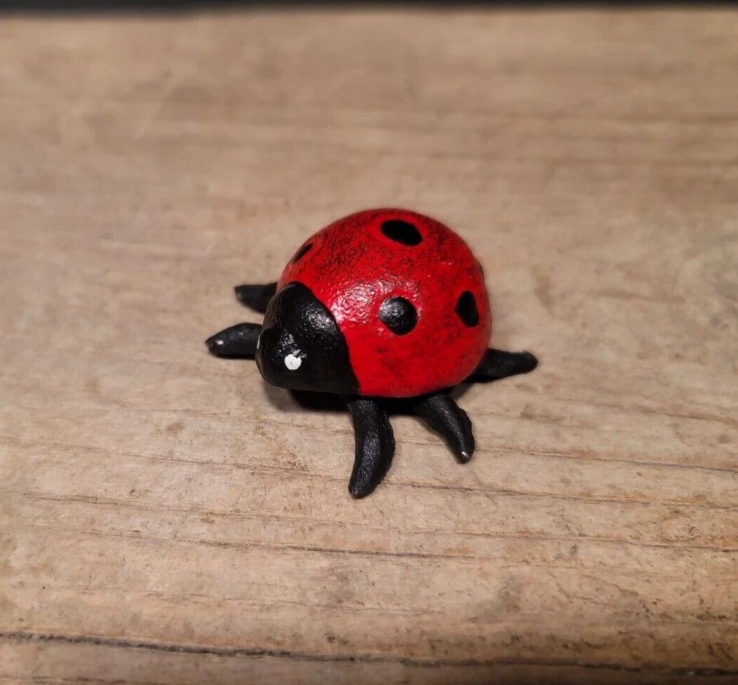 Cast Iron Lady Bug Good Luck - 5