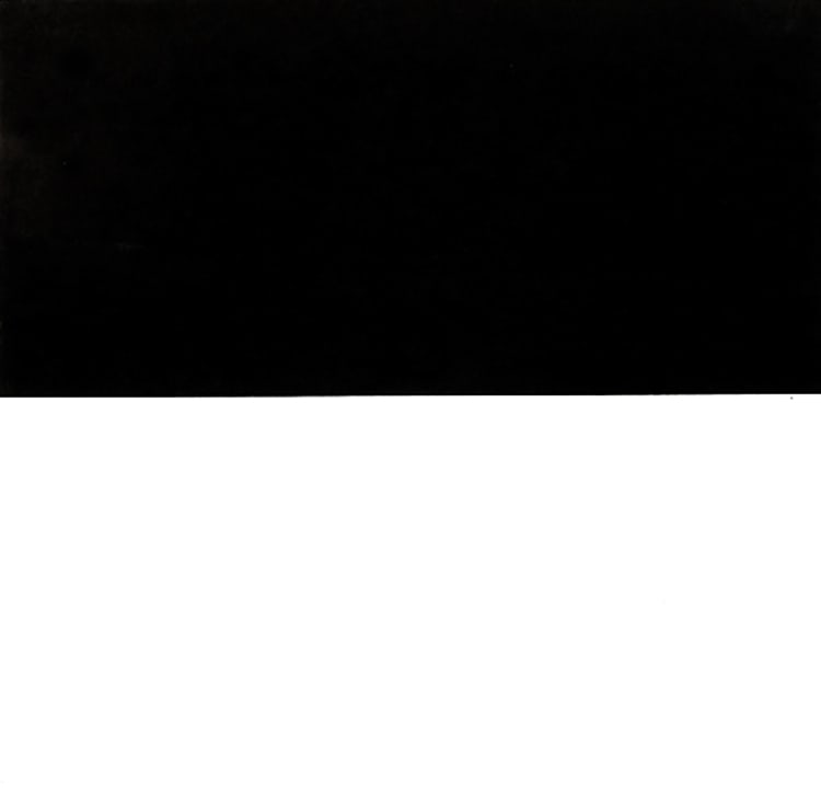 Ellsworth Kelly Linogravure black and white Line Form Color (1 of 1)