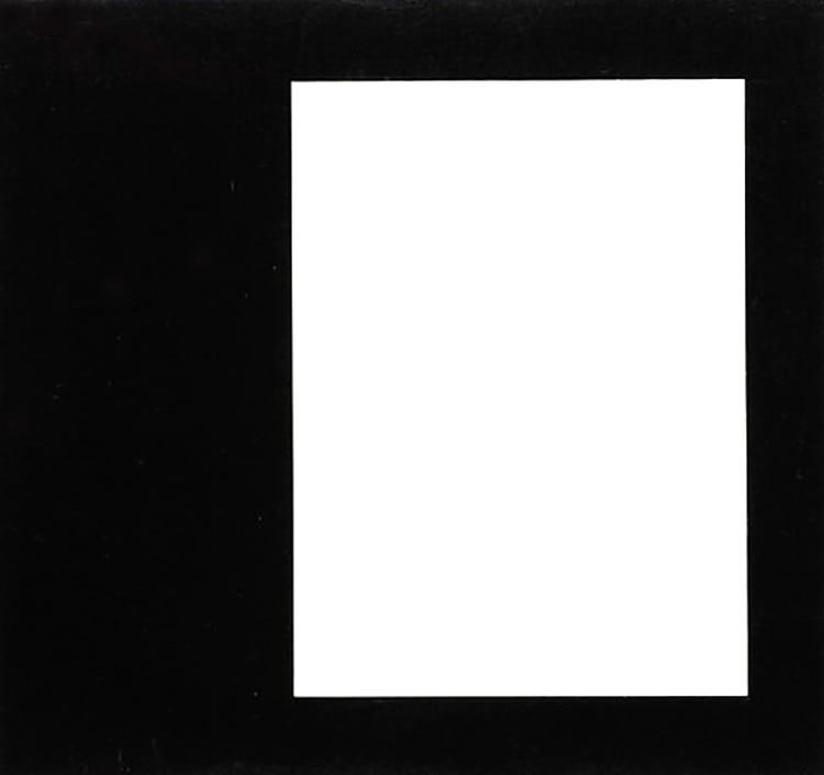 Ellsworth Kelly Linogravure Rectangular Line Form Color (1 of 1)