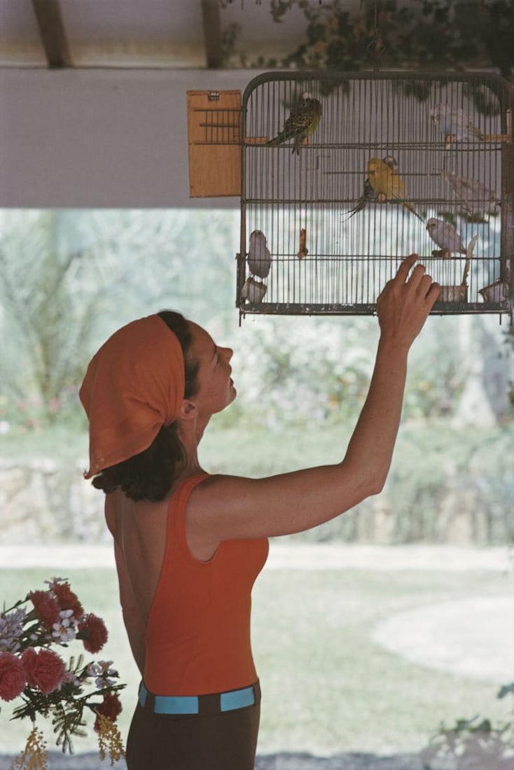 Slim Aarons 'Marbella Birds' 1963 Official Limited Estate Edition: 1963 (Printed Later) - 7