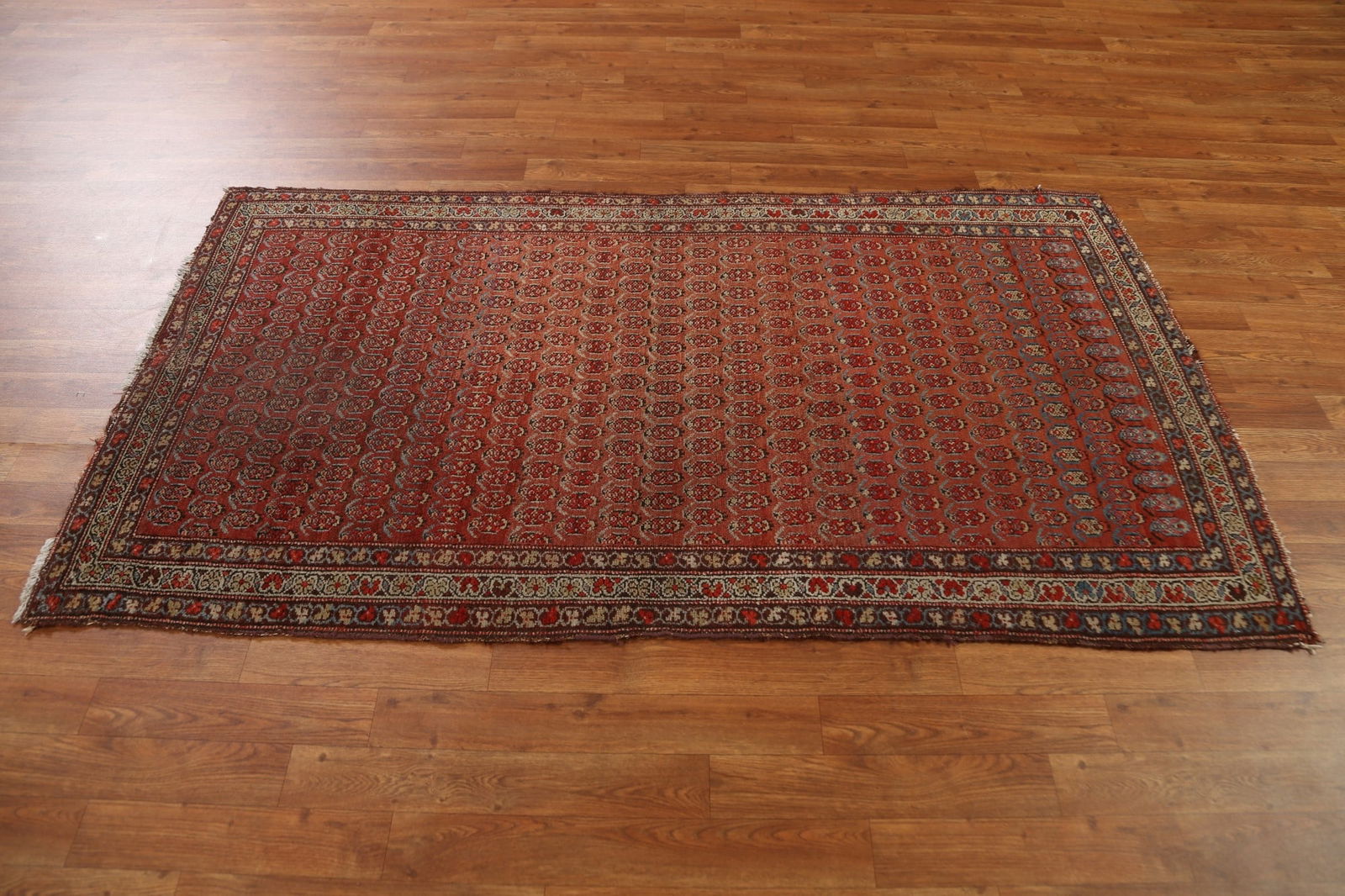 Pre-1900 Antique Vegetable Dye Malayer Persian Rug 3x6 - 16