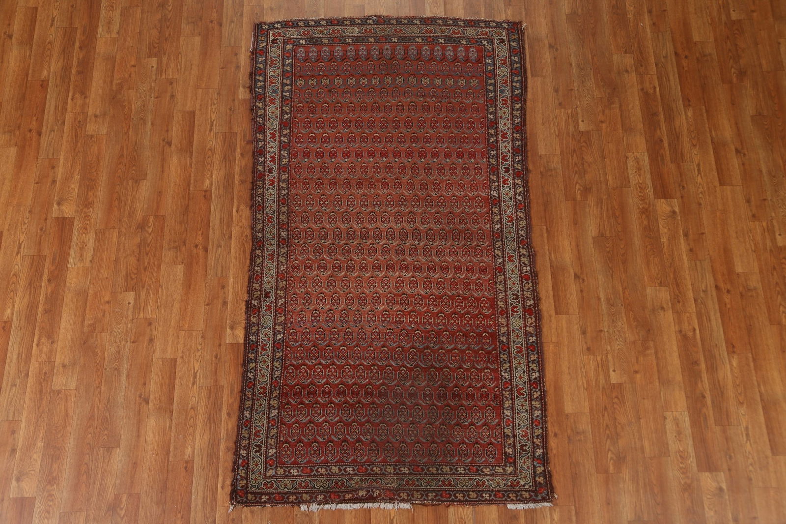 Pre-1900 Antique Vegetable Dye Malayer Persian Rug 3x6 - 3