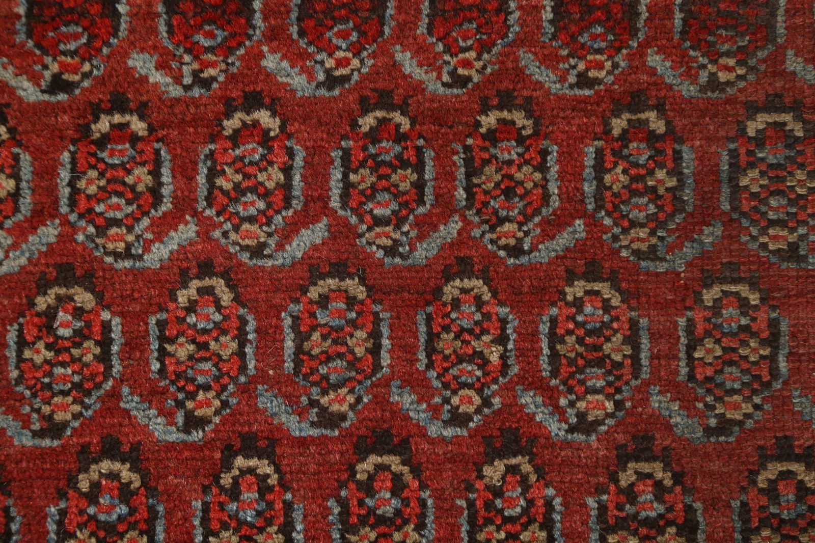 Pre-1900 Antique Vegetable Dye Malayer Persian Rug 3x6 - 9