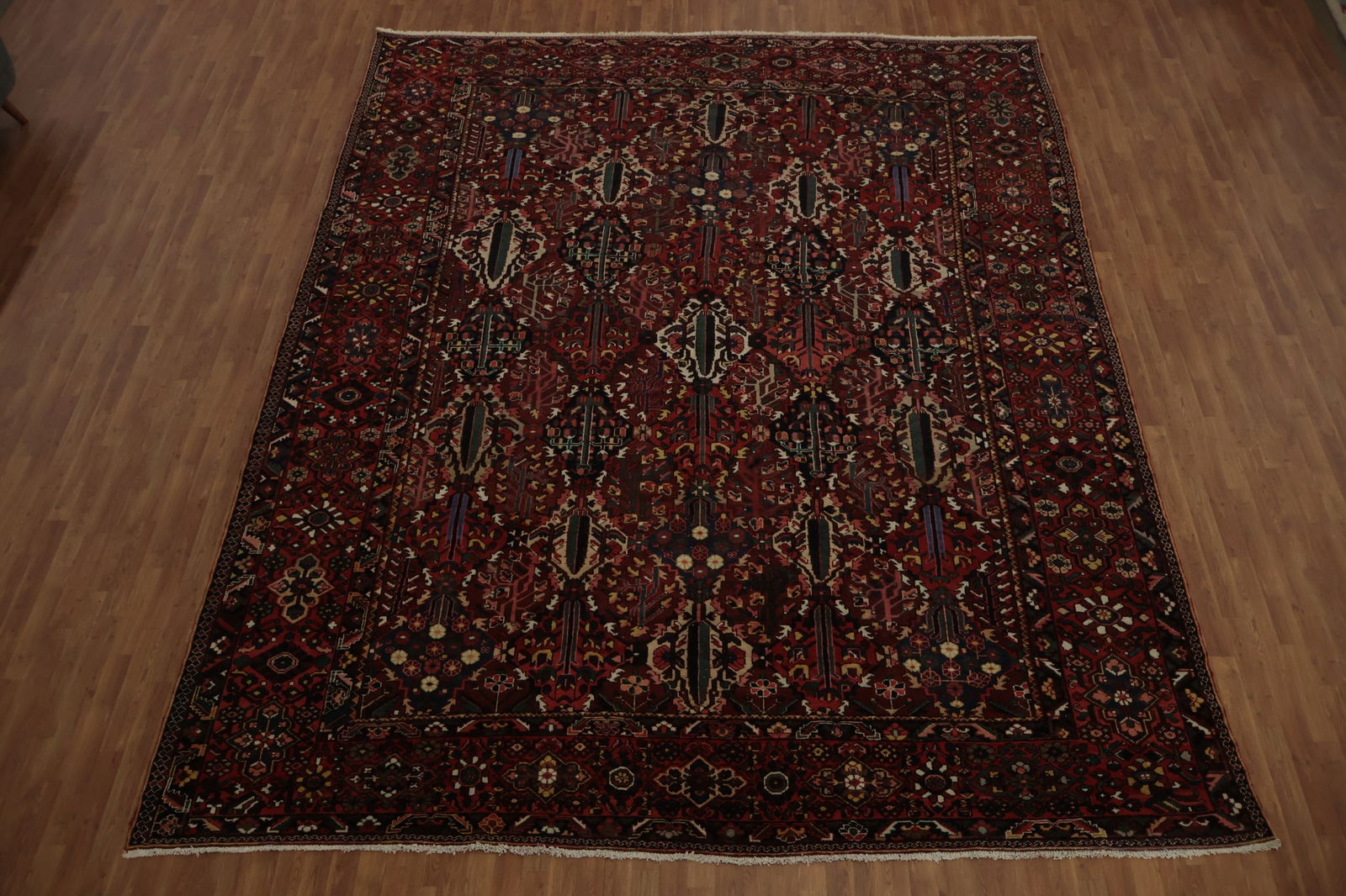 Antique Vegetable Dye Bakhtiari Persian Large Rug 11x14 - 2