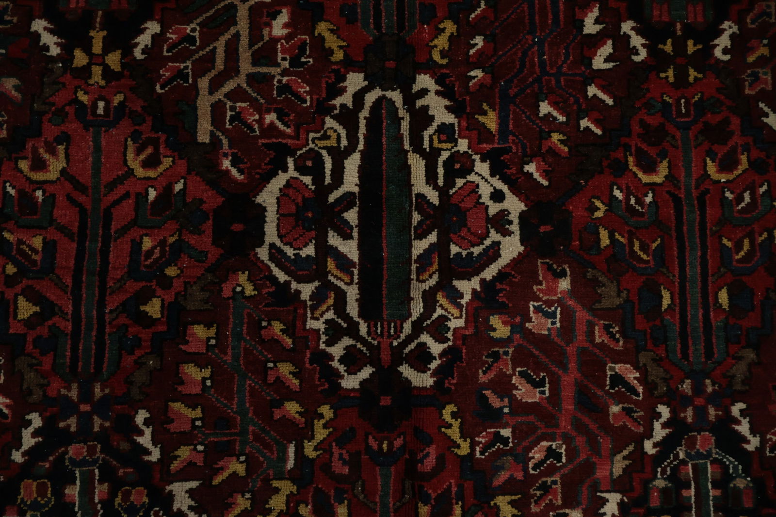 Antique Vegetable Dye Bakhtiari Persian Large Rug 11x14 - 6