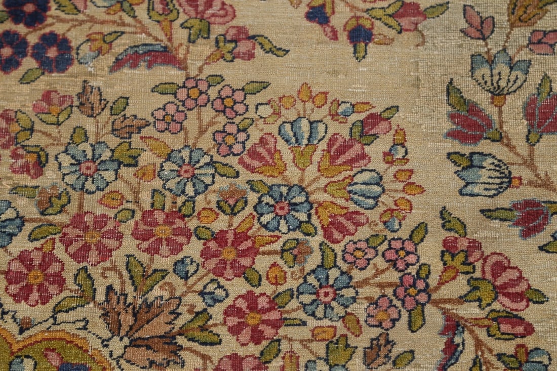 Pre-1900 Antique Kerman Vegetable Dye Persian Large Rug 11x18 - 11