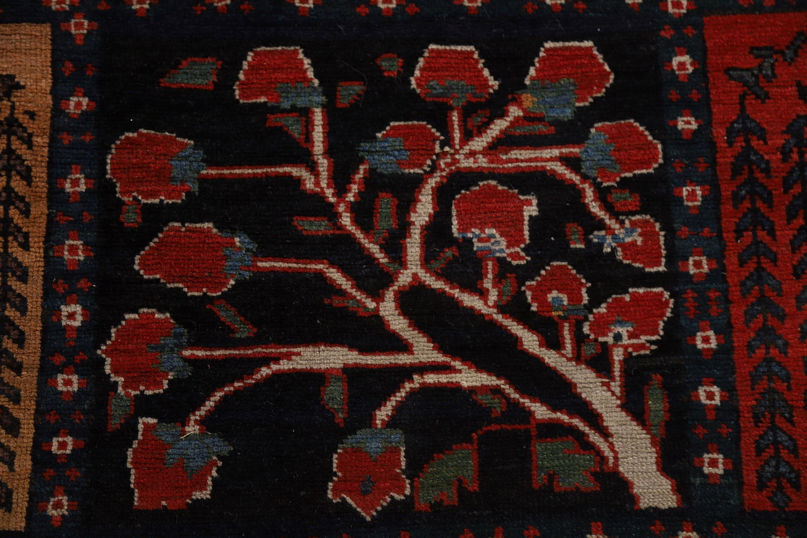 Pre-1900 Antique Bakhtiari Shalamzar Vegetable Dye Persian Rug 13x20 - 9