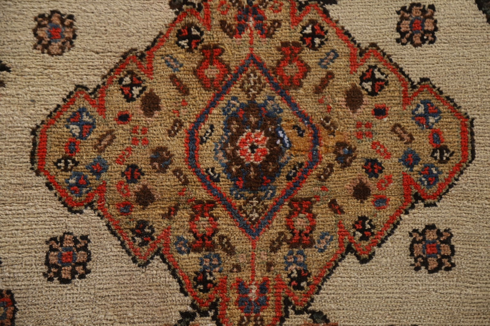 Pre-900 Antique Bakhtiari Vegetable Dye Persian Rug 9x15 - 9