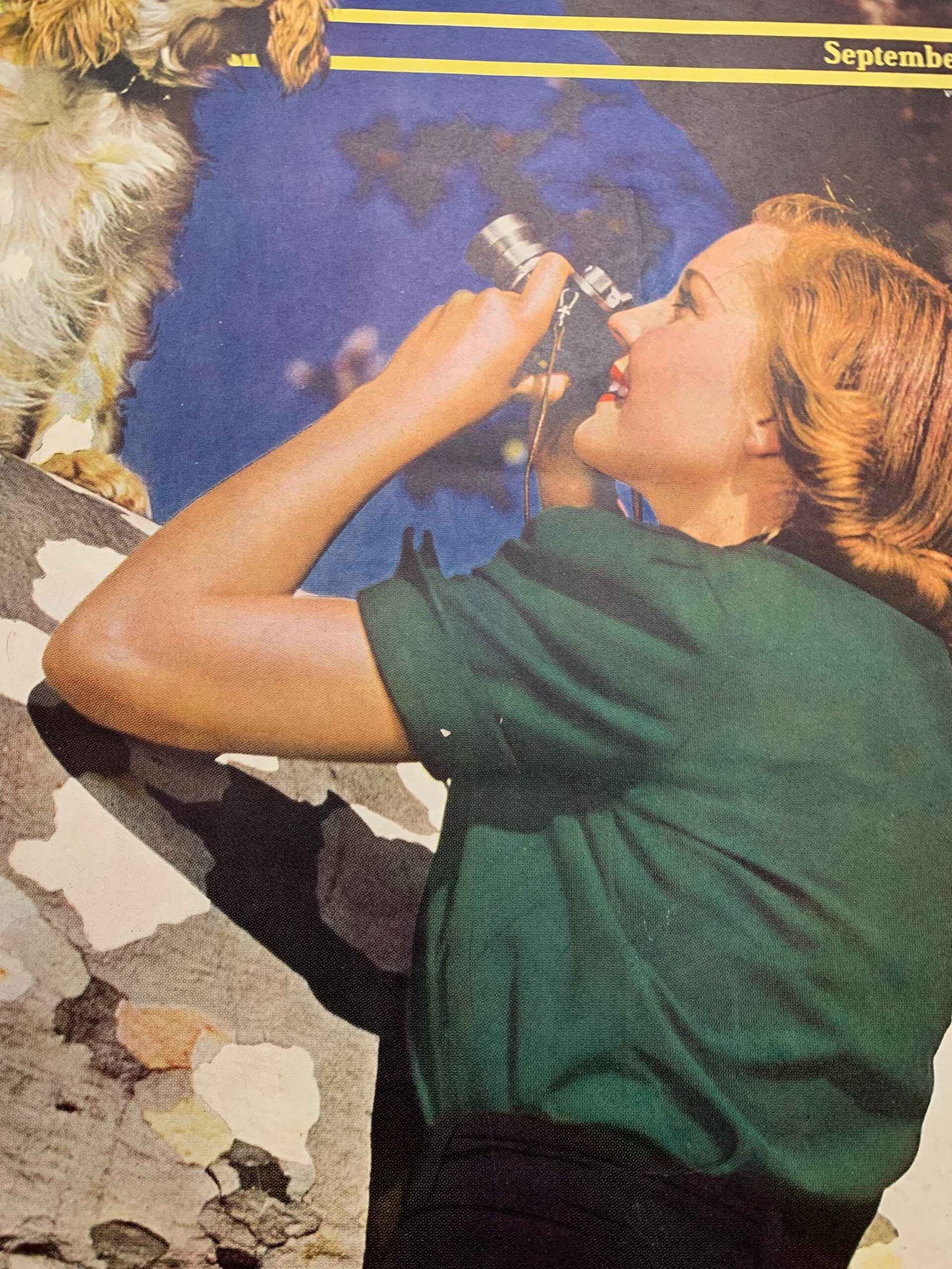 22x28 1940 Newstand Poster Saturday Evening Post - Art By M.m. Herrick woman Shooting Photo Of Dog - 4