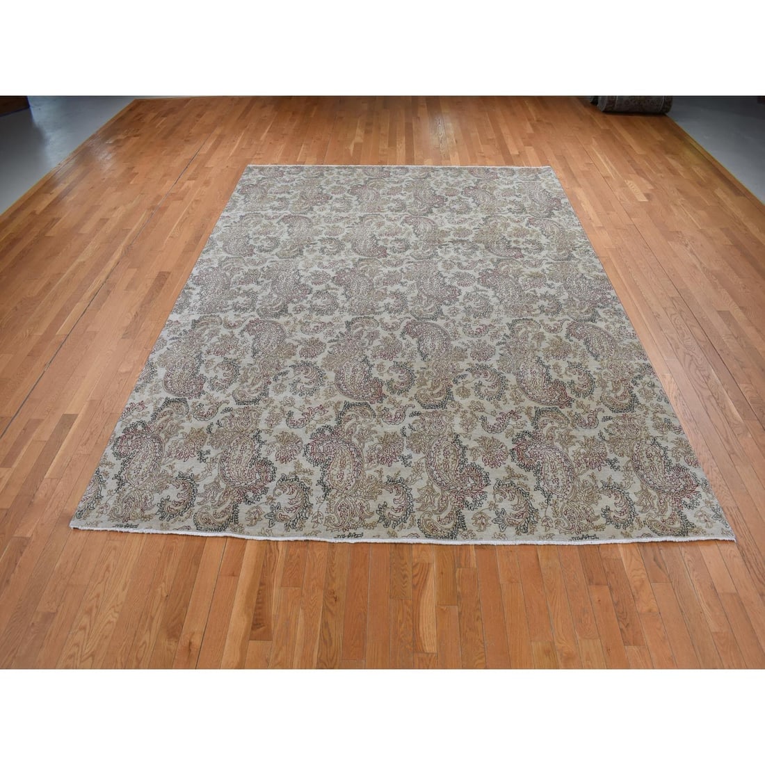 Agreeable Gray, Agra with Paisley Design, 100% Wool, Hand Knotted, Rug - 2