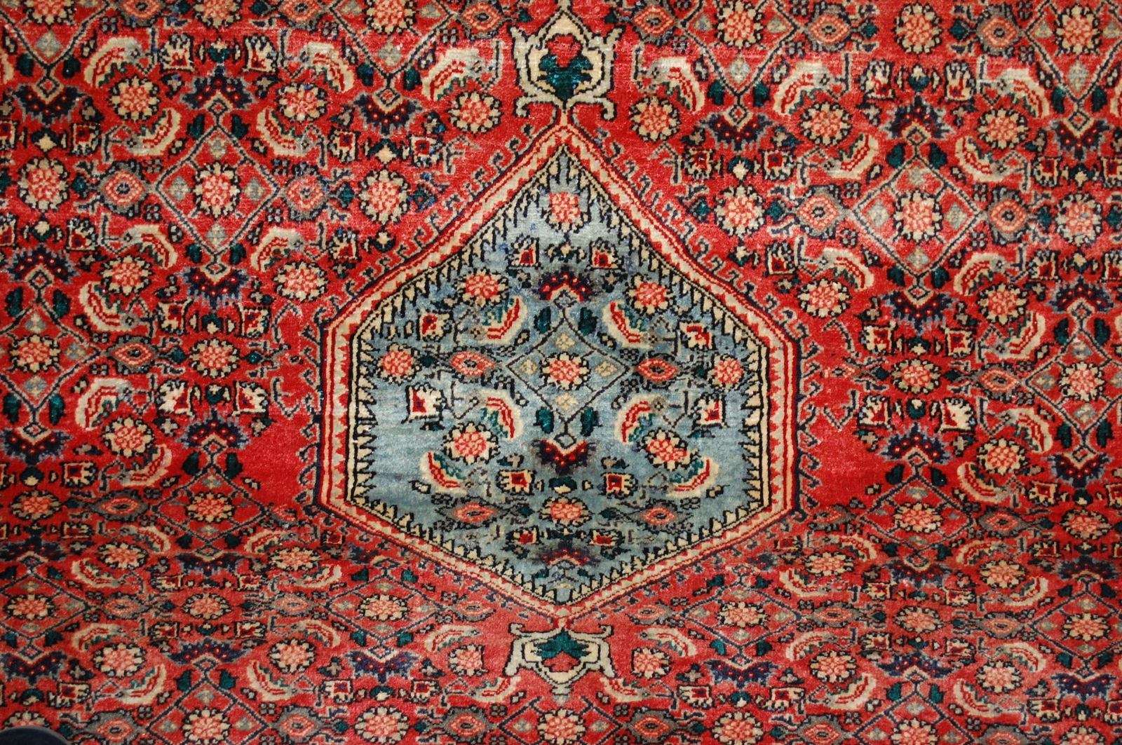 Persian BEJAR RUG 3'8" x 4'10" - 7