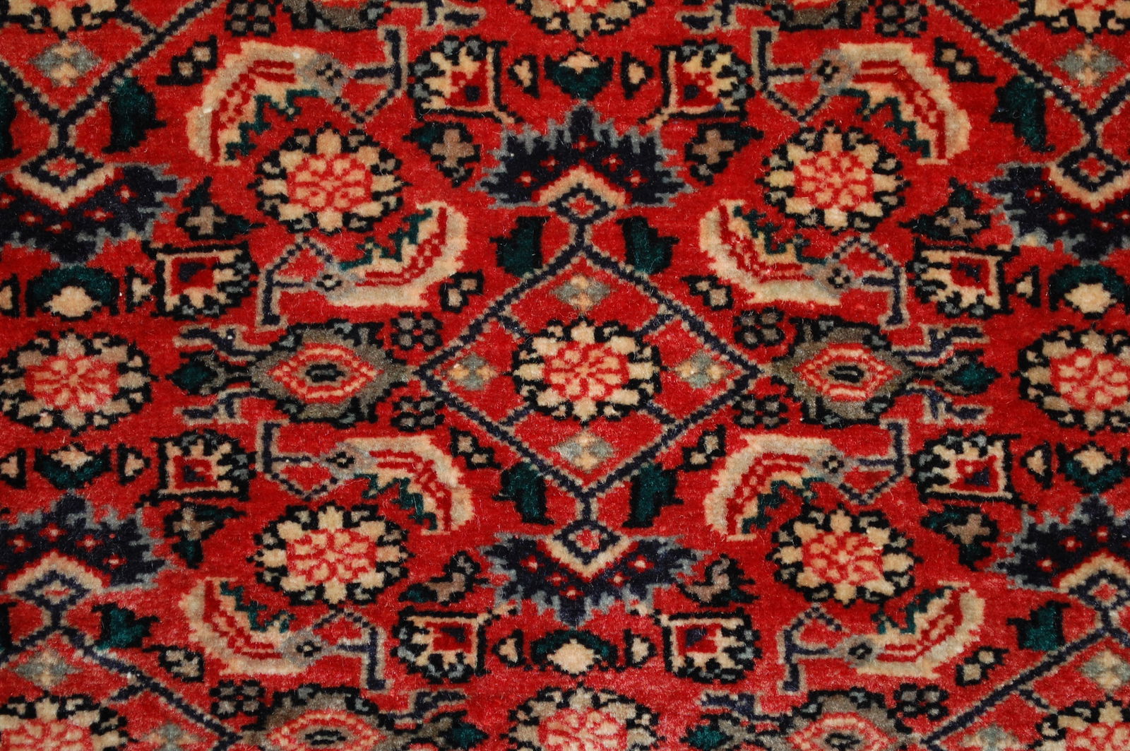 Persian BEJAR RUG 3'8" x 4'10" - 8