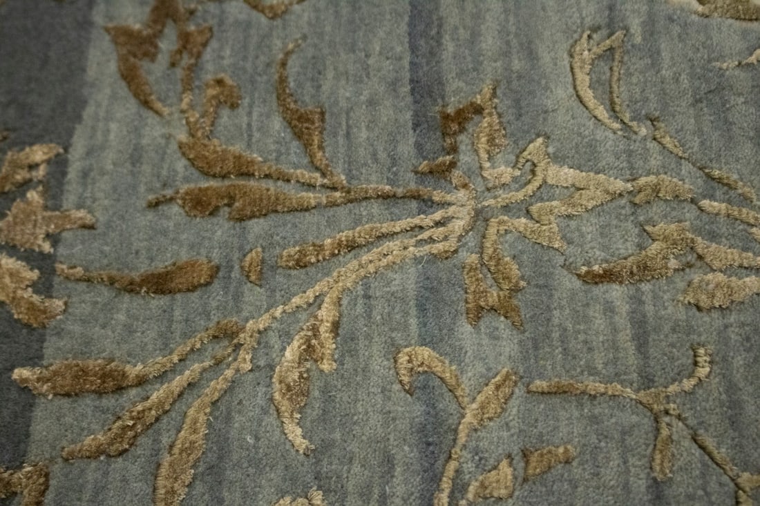 Pictorial Lion Design 8X10 Modern Oriental Rug - 8