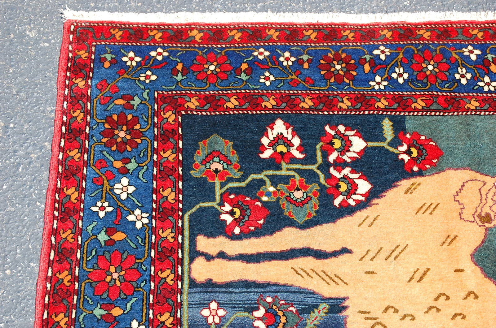 CAUCASIAN RUG 4.10x7.8 - 5