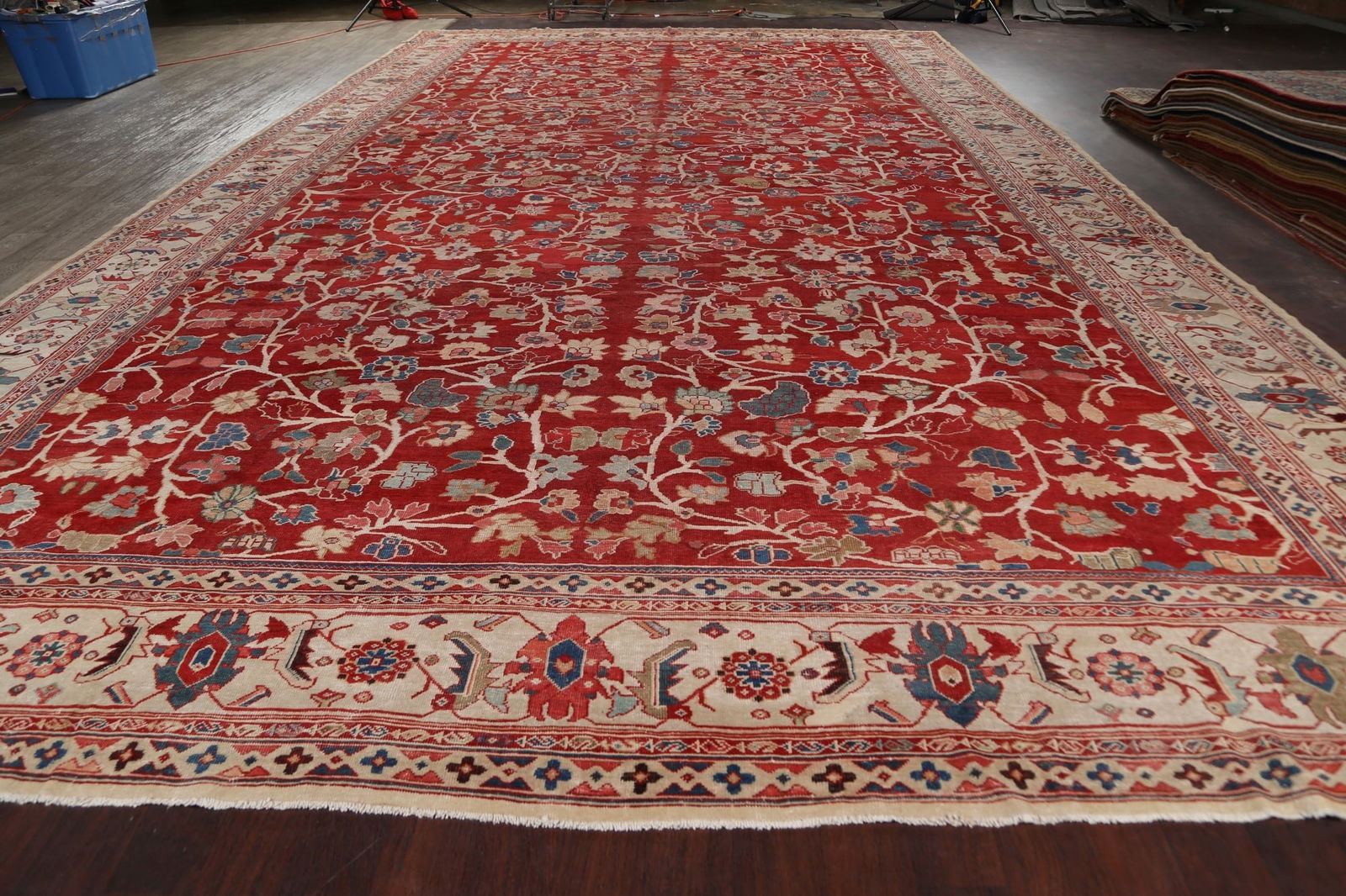 Classic Sultanabad Palace Persian Rug with Rich Colors and Delicate Details 14x24 - 14