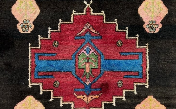 Unique Persian Hamedan Rug 5.4x8' - 7