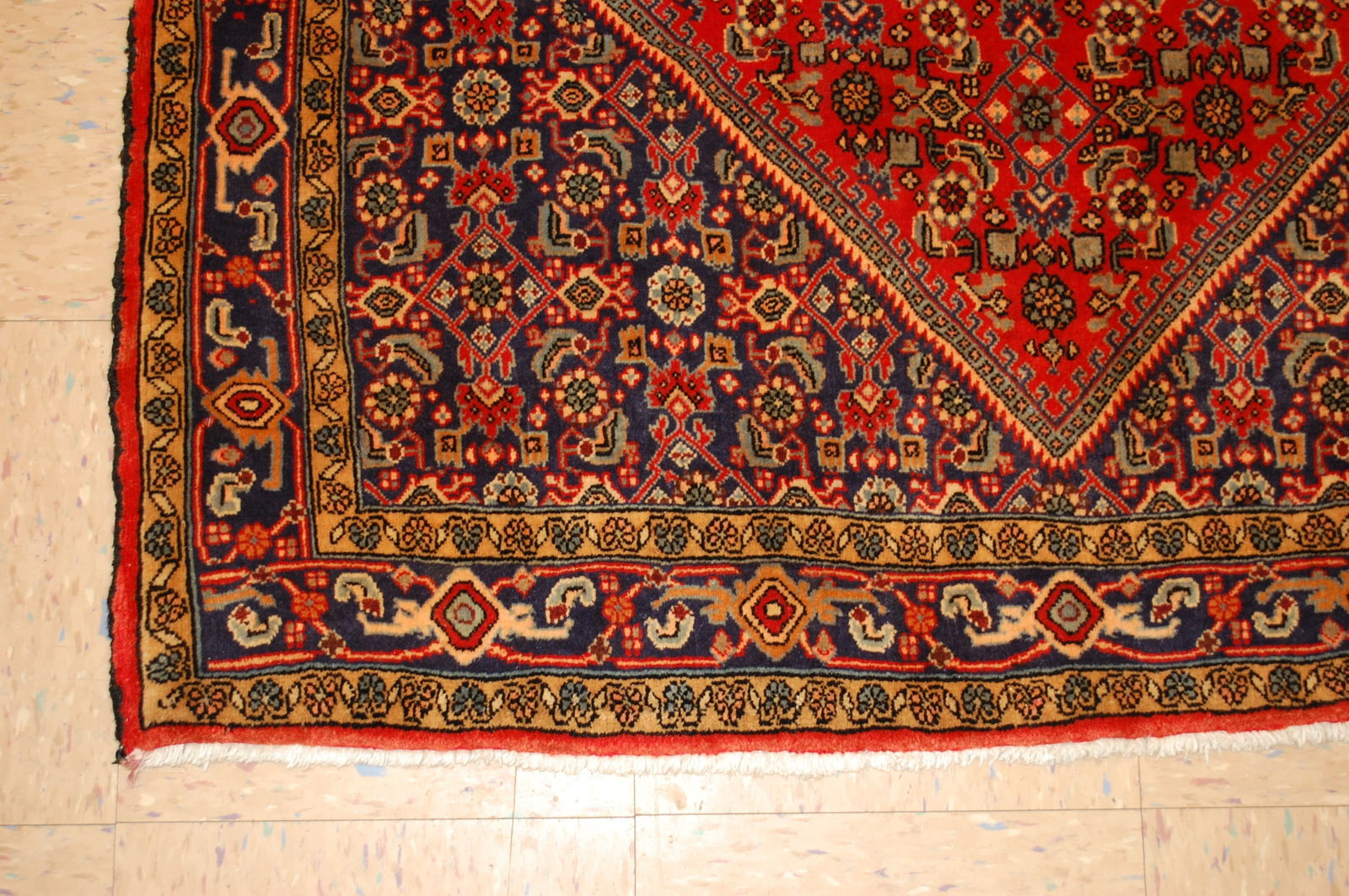 Persian BEJAR RUG 3'10" x 5'8" - 8