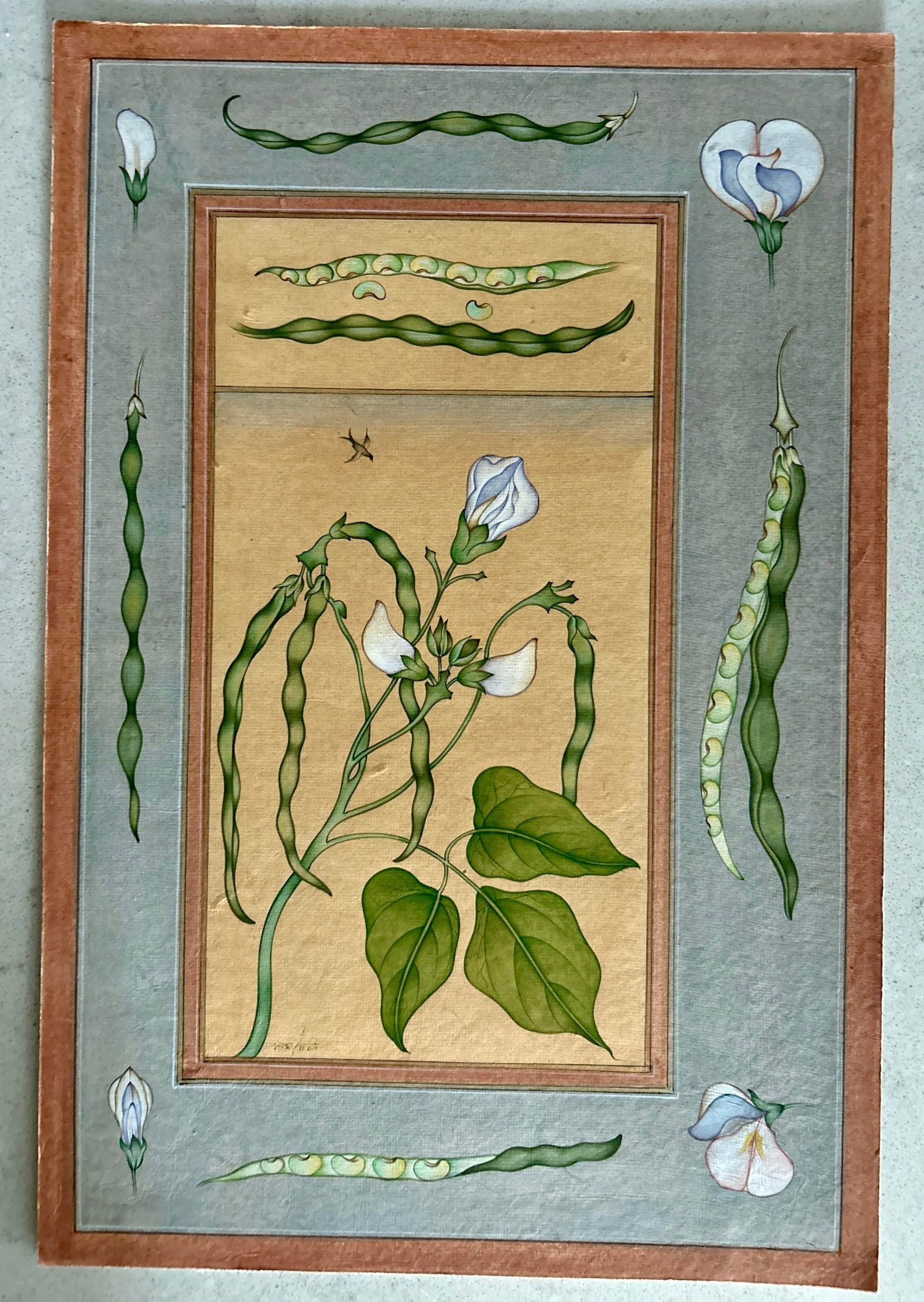 Mid 20th Century Vintage Indian Hand Painted Mughal Flower Painting of Pea Flower Plant - 2