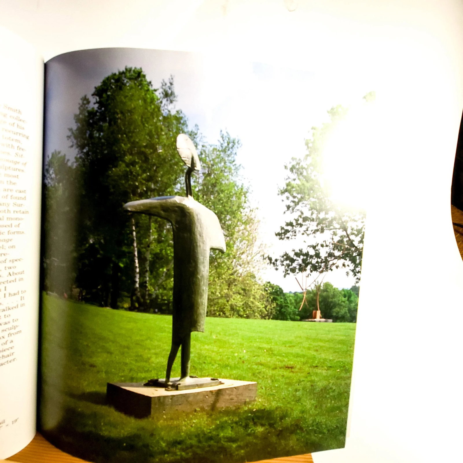 A Landscape for Modern Sculpture Paperback Coffee Table Book - 6