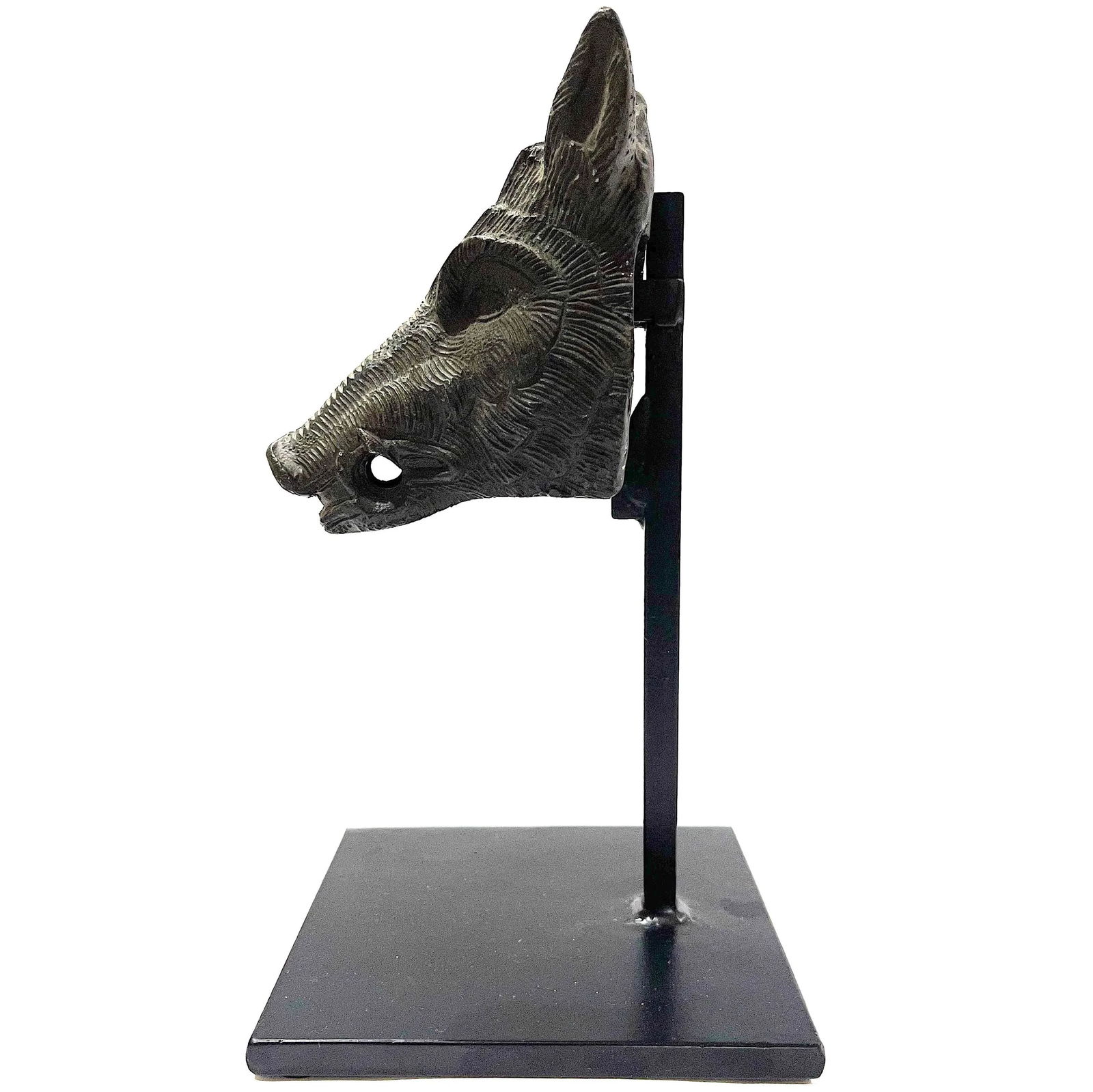 Wild Boar Sculpture in High Relief Cast Metal - 7