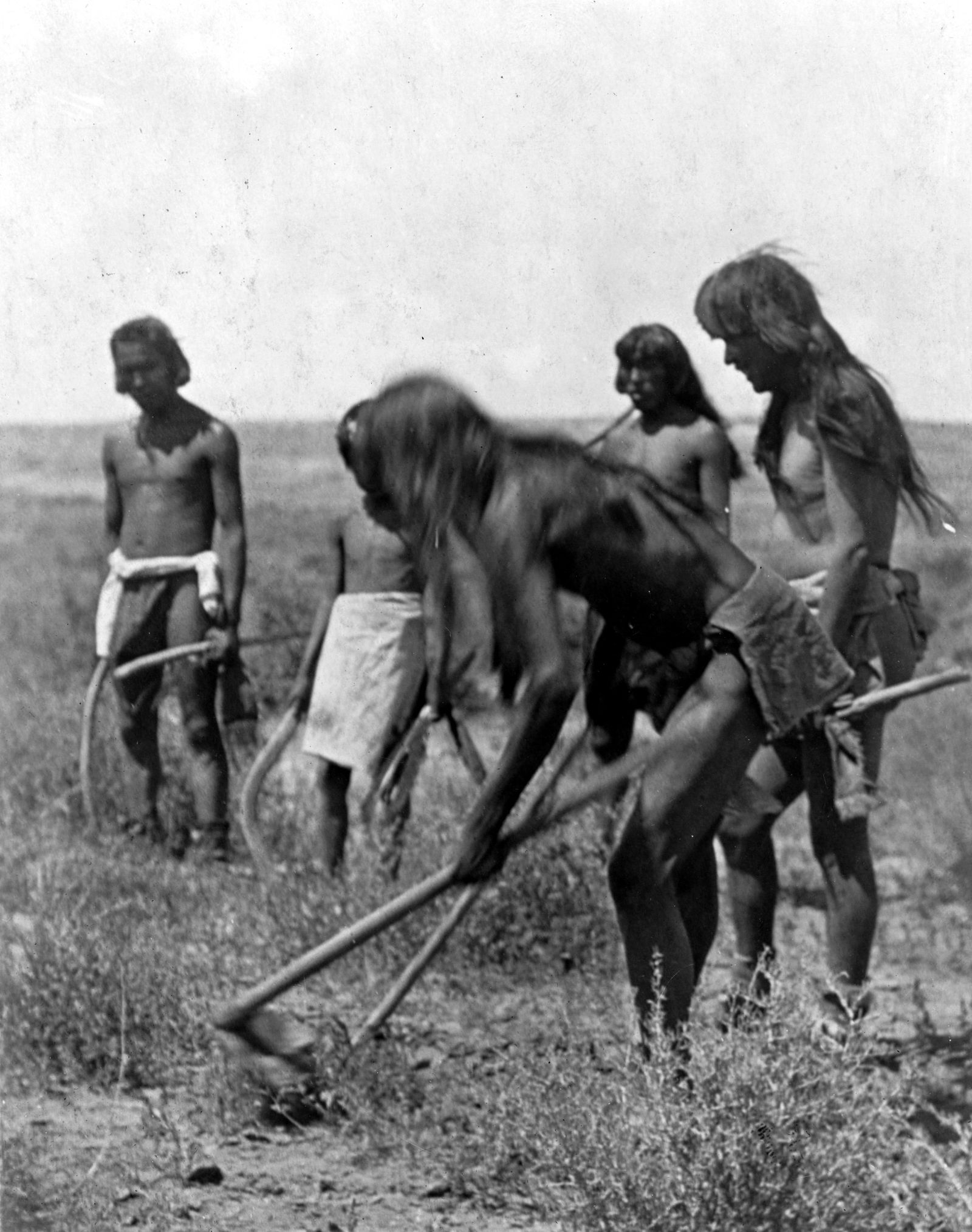 DIGGING OUT THE SNAKES; HOPI: Title: DIGGING OUT THE SNAKES; HOPI Artist/Source: EDWARD SHERIFF CURTIS Original Date: 1907 Dimensions: 8X10 Description: || UNITED STATES SHIPPING ONLY! || This lot is a Dye Based Photolithograph
