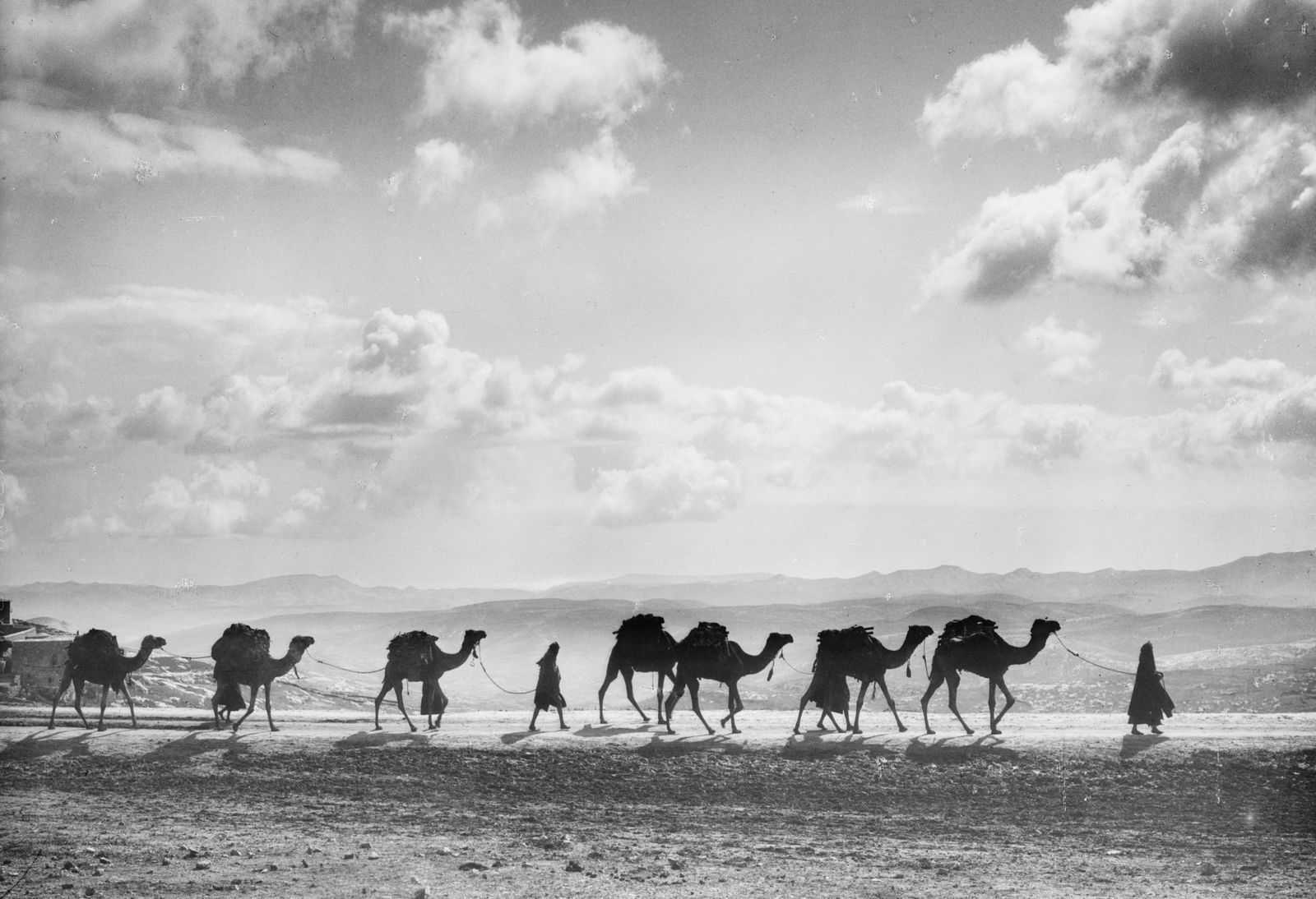 EGYPTIAN CAMEL TRAIL: Title: EGYPTIAN CAMEL TRAIL Artist/Source: AMERICAN COLONY, JERUSALEM Original Date: 1918 Dimensions: 19X13 Description: || UNITED STATES SHIPPING ONLY! || This lot is a Dye Based Photolithograph and