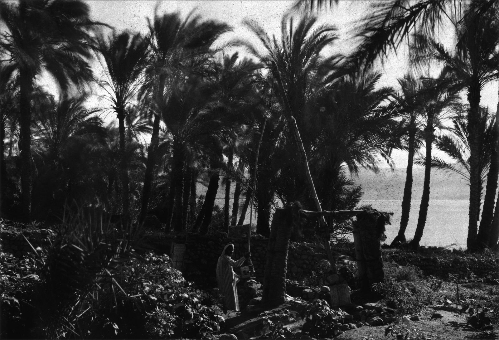 PETRA MAN: Title: PETRA MAN Artist/Source: UNKNOWN Original Date: UNKNOWN Dimensions: 8X10 Description: || UNITED STATES SHIPPING ONLY! || This lot is a Dye Based Photolithograph and is a restoration print, prod