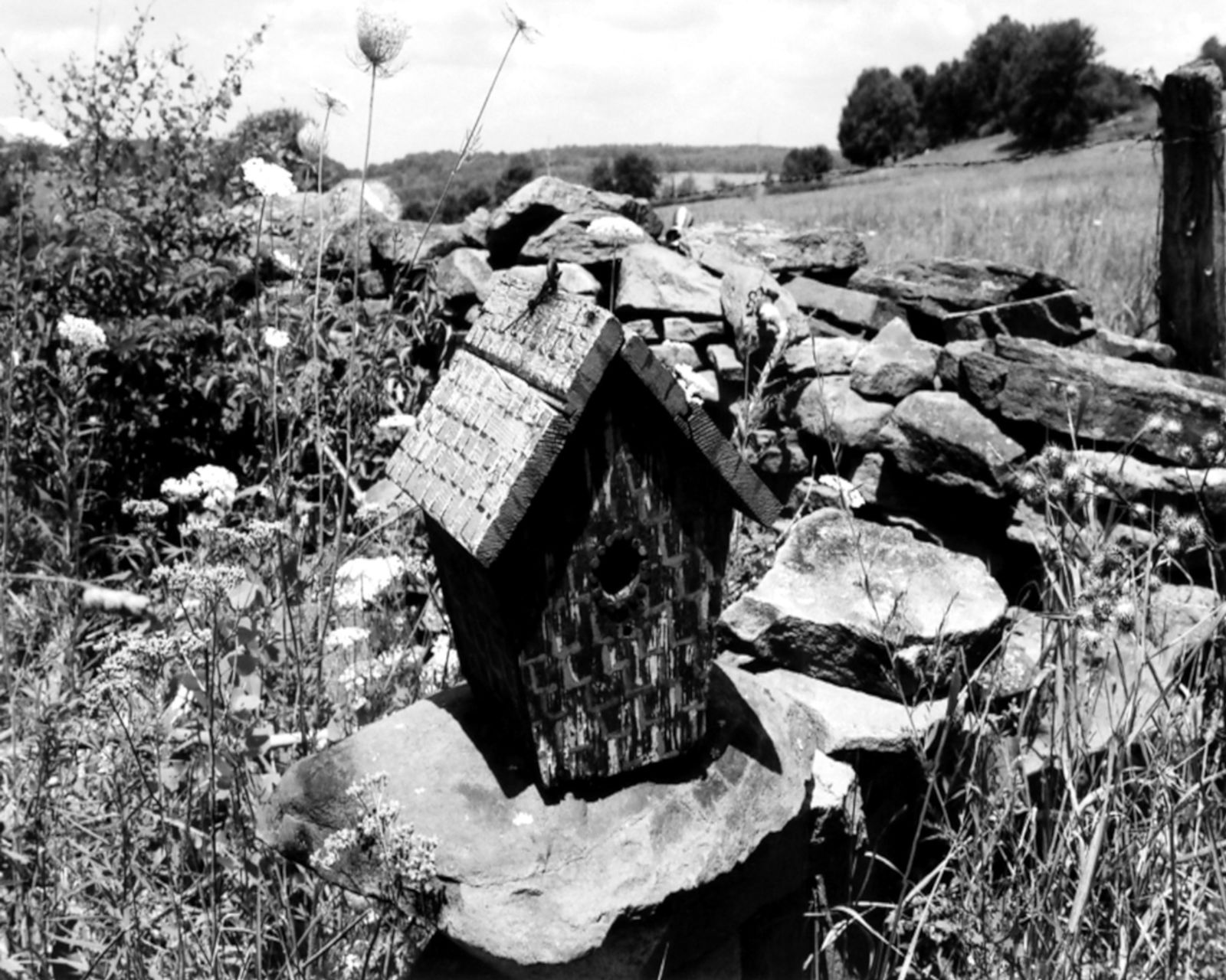 BIRDHOUSE, (WESTERN CATSKILL MOUNTAINS): Title: BIRDHOUSE, (WESTERN CATSKILL MOUNTAINS) Artist/Source: KONSTANTIN DMETRIEV Original Date: 2009 Dimensions: 8X10" Description: || UNITED STATES SHIPPING ONLY! || This lot is a Dye Based