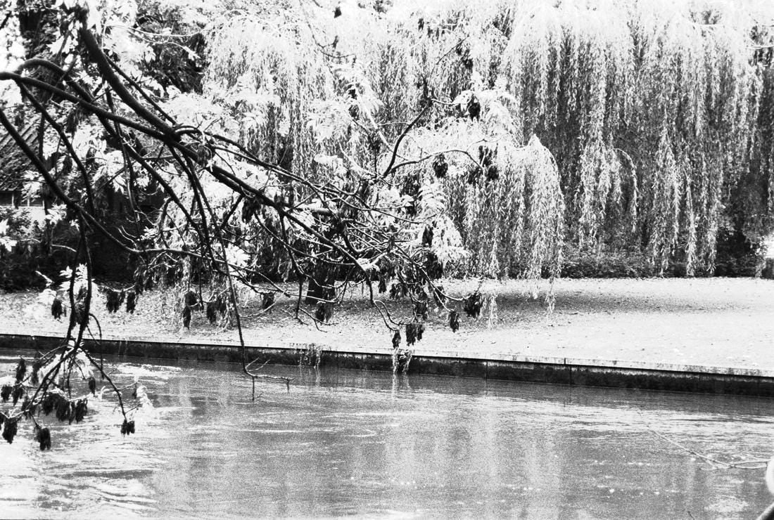 2010, "HANGING GARDENS OF FLANDERS": Title: 2010, "HANGING GARDENS OF FLANDERS" Artist/Source: EUROCONTEMPO PUBLISHING Original Date: 2010 Dimensions: 8X10 Description: || UNITED STATES SHIPPING ONLY! || This lot is a Dye Based Photolith