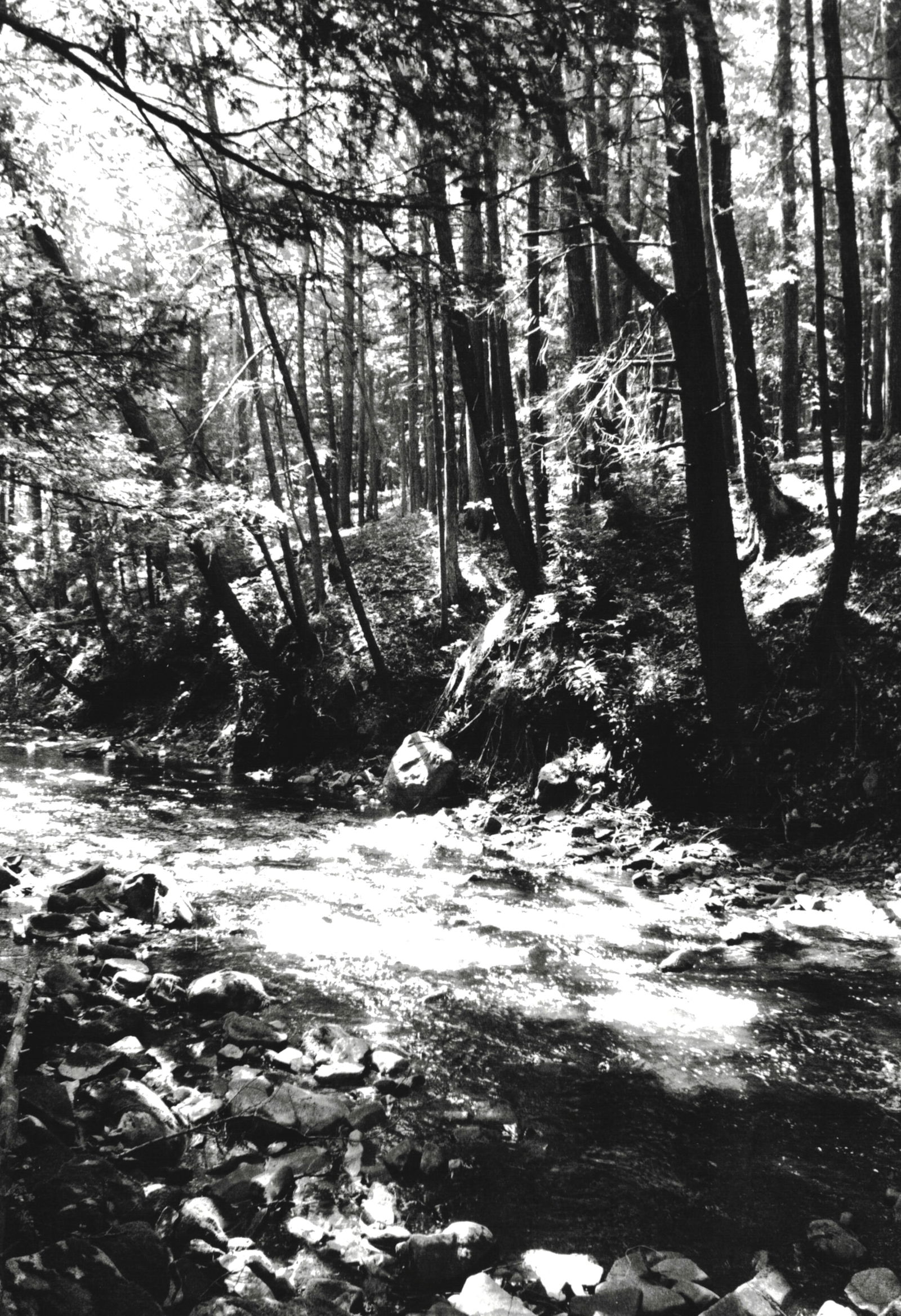 LG. FORMAT 13X19" "SACRED", 35MM FILM (1 of 1)