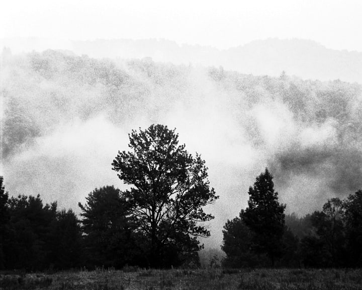 2004, THE UNDERCAST; 35MM FILM: Title: 2004, THE UNDERCAST; 35MM FILM Artist/Source: KONSTANTIN DMITRIEV Original Date: 2010 Dimensions: 8 x 10 Description: || UNITED STATES SHIPPING ONLY! || This lot is a Dye Based Photolithograph