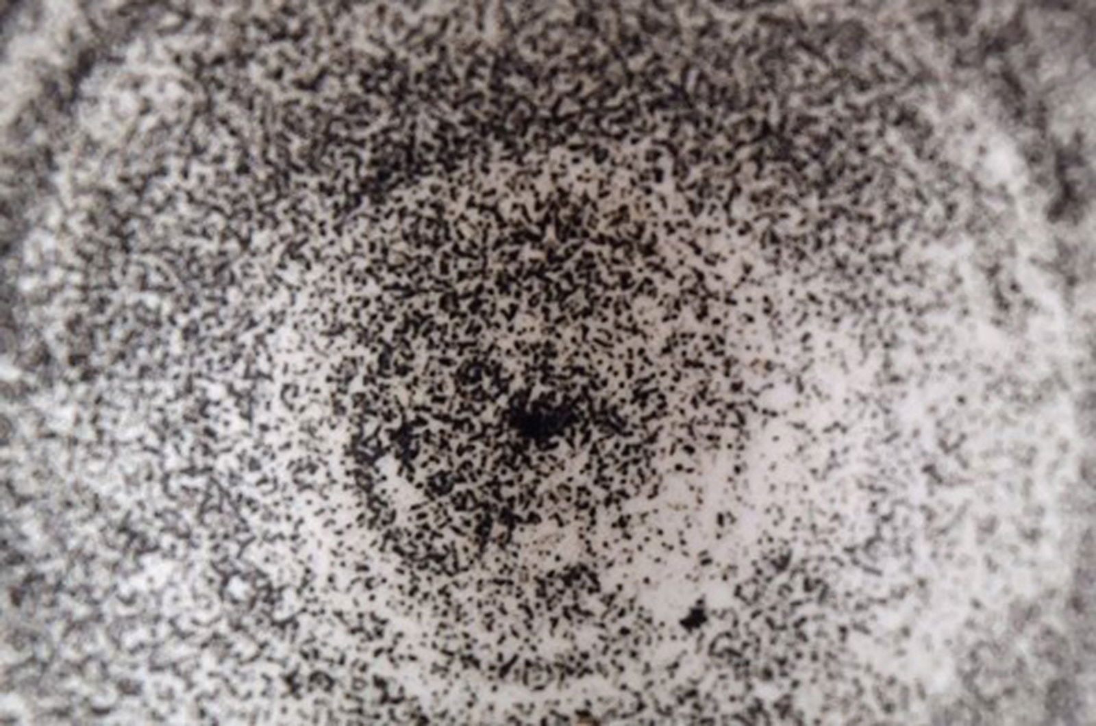 Kähler, Denmark, glazed stoneware vase. - 3