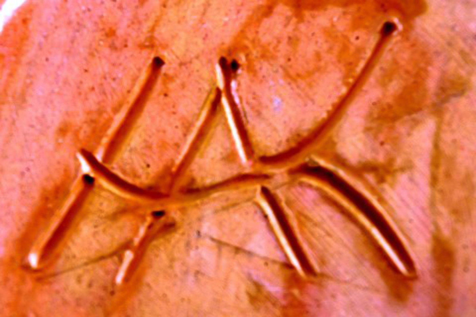 Kähler, Denmark, glazed stoneware bowl / vase. - 4