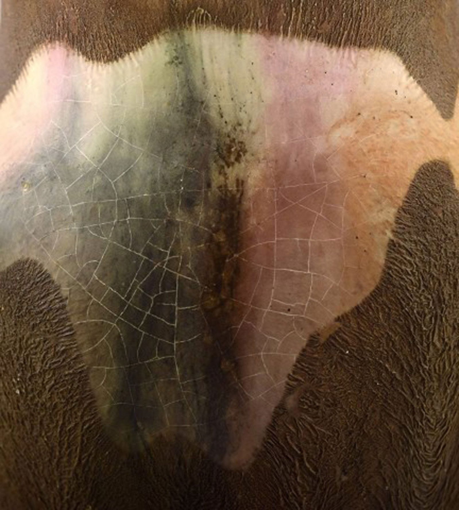 Søren Kongstrand & Jens Petersen style. Ceramic vase. - 5