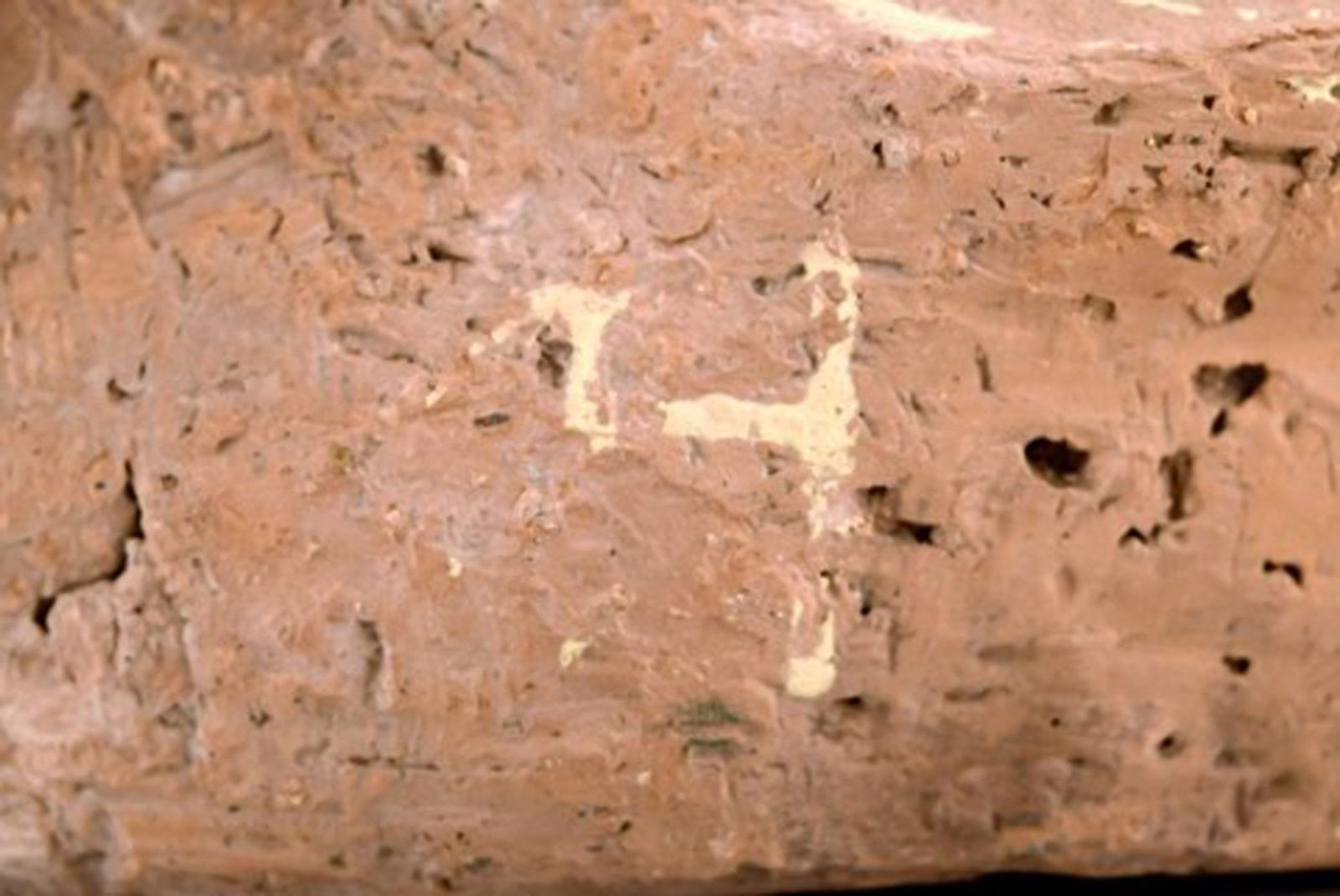 Helge Christoffersen colossal unique figure of cat. - 8