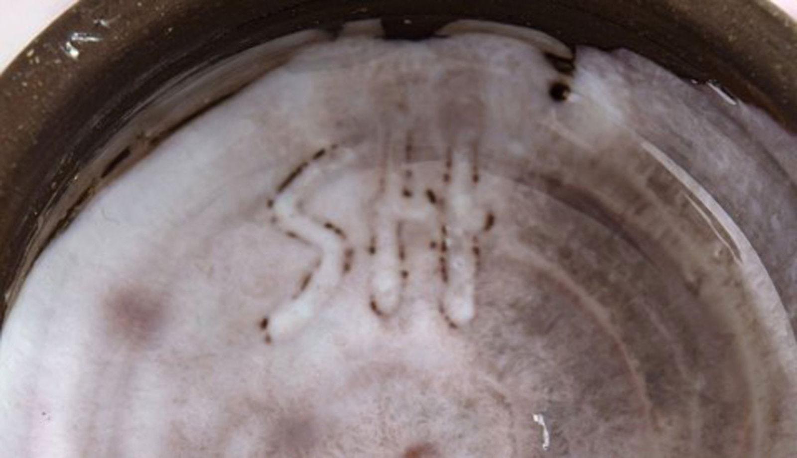 Sven Hofverberg (1923-1998) Swedish ceramist. Two unique glazed ceramic bowls. Beautiful metallic - 5