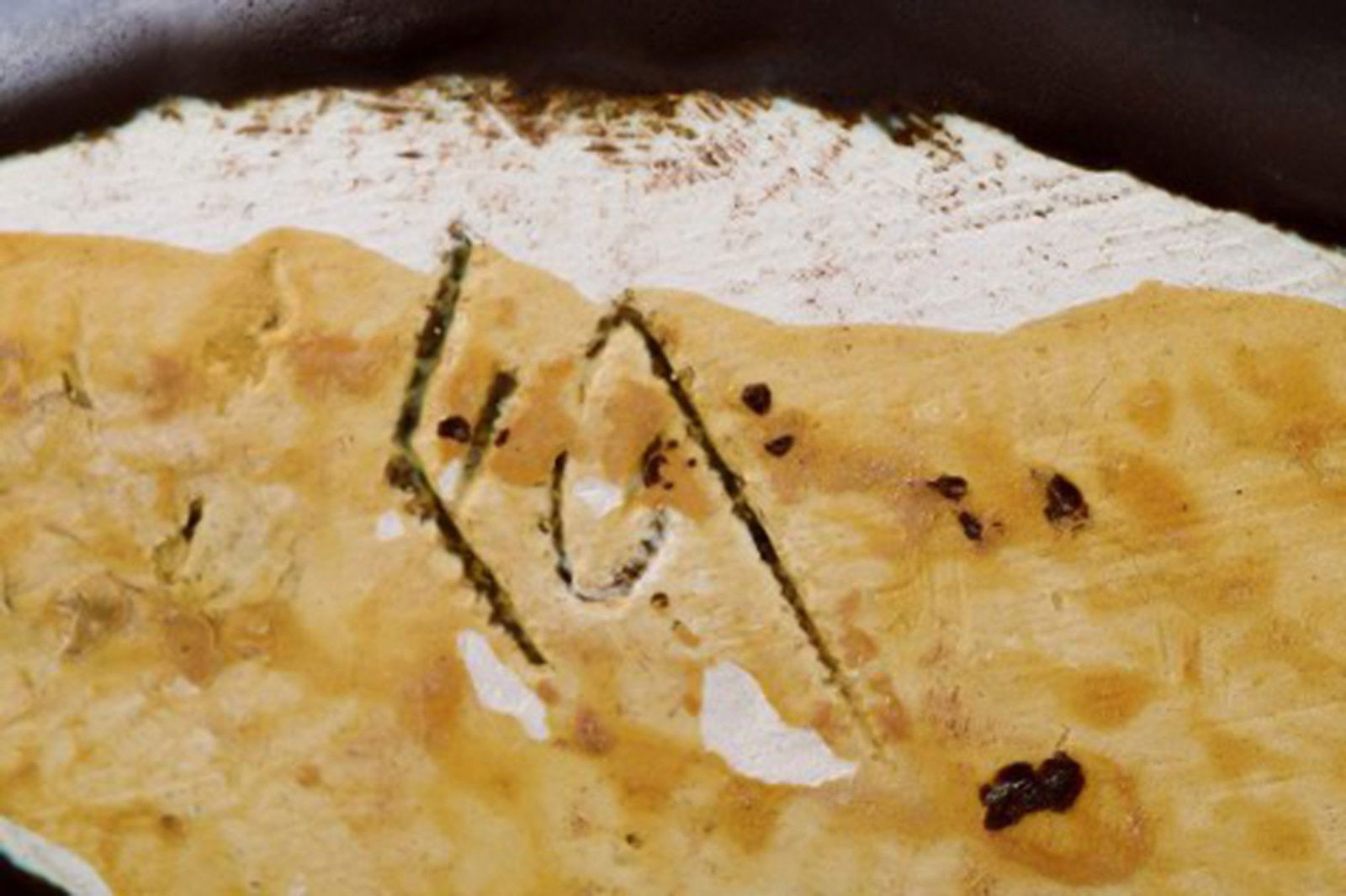 FEJ (Folke and Elsa Jernberg), Sweden. Bear in glazed ceramics. Beautiful glaze in black and blue - 5