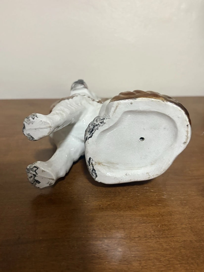 Staffordshire Spaniel Dog - 5