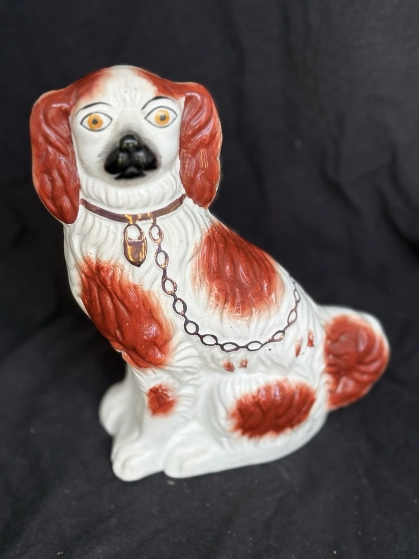 Staffordshire Spaniel Dog (1 of 3)