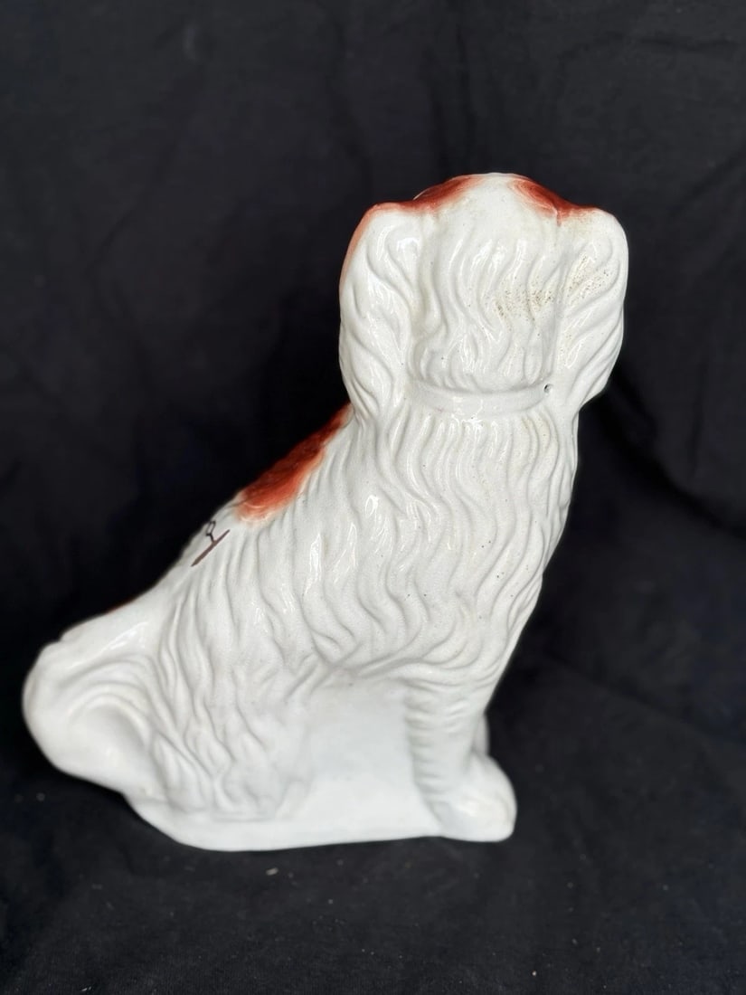 Staffordshire Spaniel Dog - 2