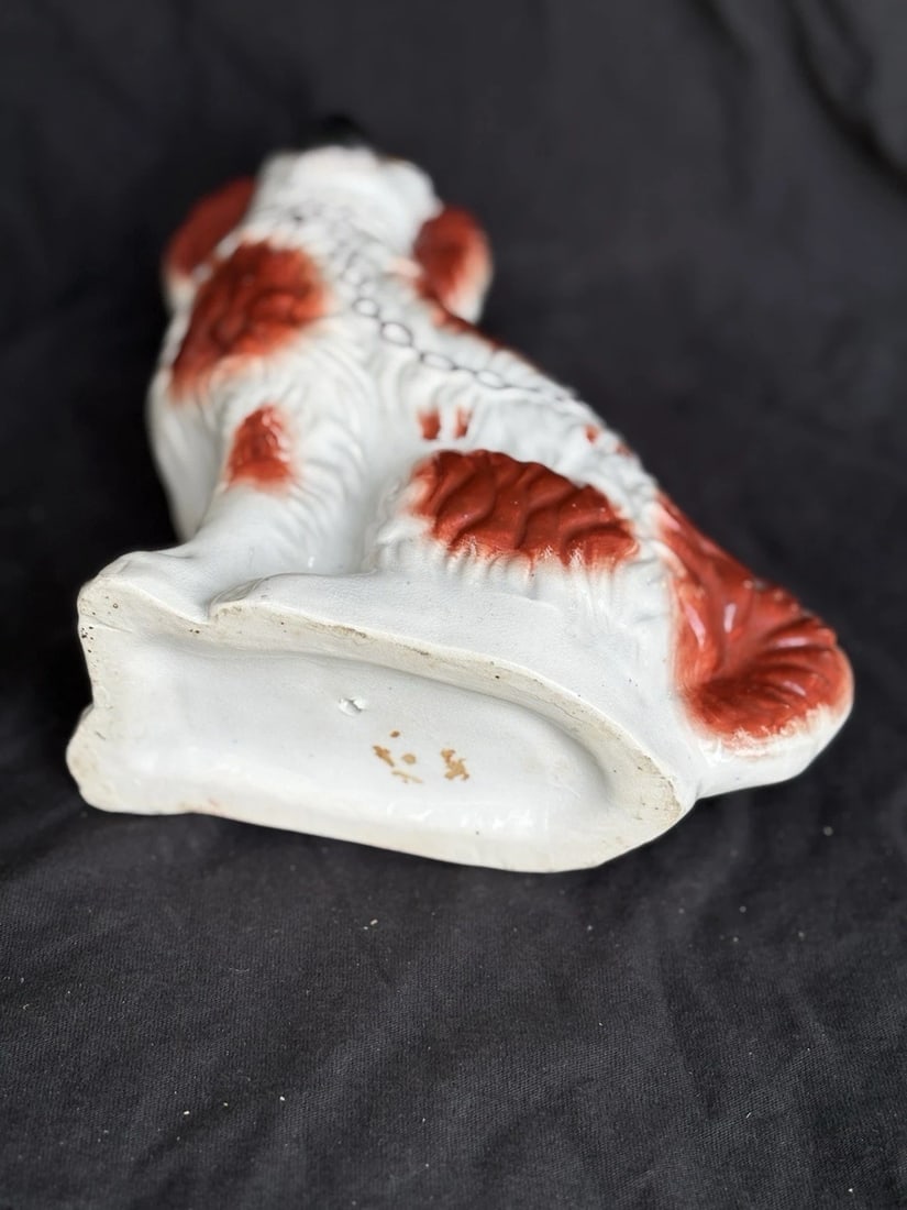 Staffordshire Spaniel Dog - 3