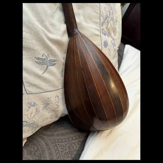 Antique Mandolin Moth inlay 1900s - 12