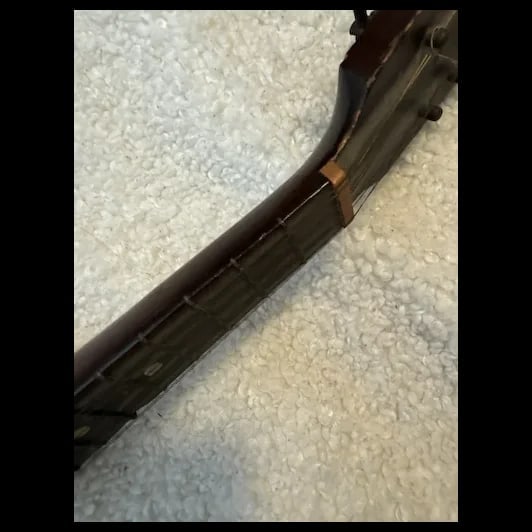 Antique Mandolin Moth inlay 1900s - 15