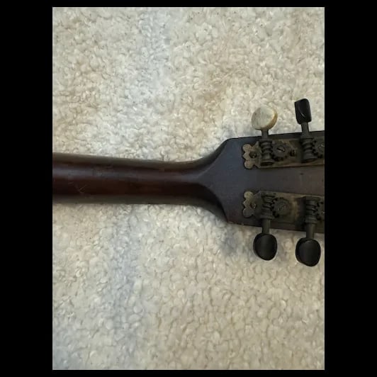 Antique Mandolin Moth inlay 1900s - 19