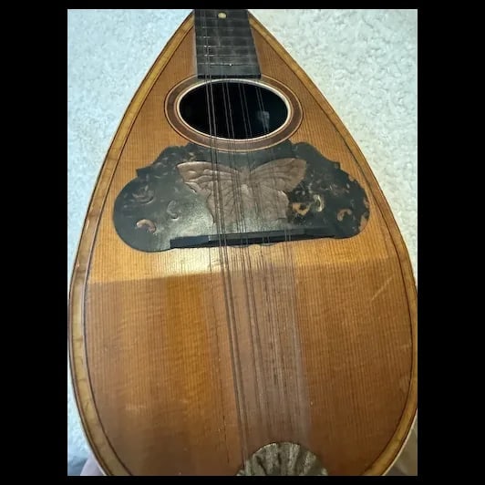 Antique Mandolin Moth inlay 1900s - 4
