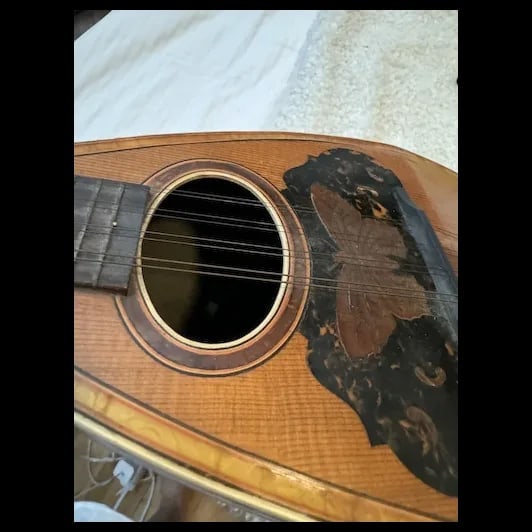 Antique Mandolin Moth inlay 1900s - 6